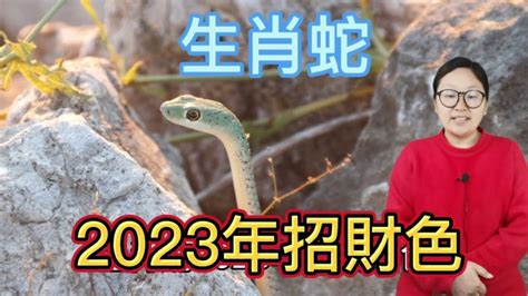 蛇的幸運顏色|【屬蛇顏色】2024屬蛇人幸運與禁忌之色：全面解析你的運勢指。